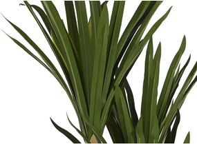 Διακοσμητικό Φυτό DKD Home Decor (80 x 80 x 180 cm)