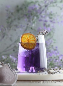 Glass Set (6 Pieces) LV-TRA367F Transparent