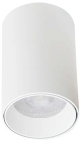 Φωτιστικό Οροφής - Σποτ Stage 4224900 GU10 D:57XH:108 White Viokef Aluminium