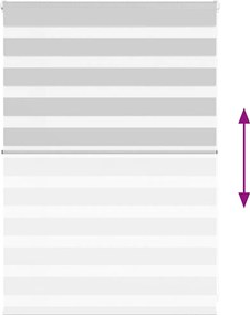 vidaXL Ζέβρα τυφλή Ανοιχτό Γκρι Πλάτος υφάσματος 100,9 εκ. Πολυεστέρας
