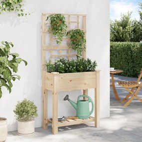 vidaXL Γλάστρα Κήπου με Πλέγμα & Ράφι 71x37x152 εκ Μασίφ Ξύλο Πεύκου