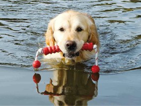 Μασητικό Οδοντοφυΐας Σκύλου Trixie 42 cm