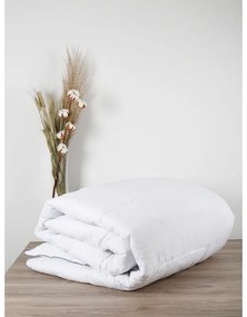 Πάπλωμα Μicro White King Size (240x250)