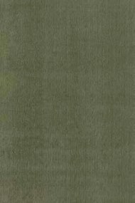 Χαλί Amalia Light Green Carpet Couture 240X340cm