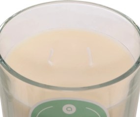 Κερί Αρωματικό 350gr (Φ10x10) A-S Floa Monoi 207011F