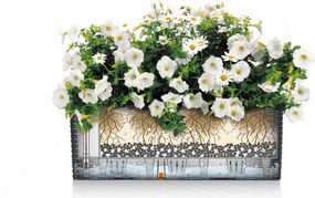 Βάζο Λουλουδιών Lechuza Μαύρο Γκρι πολυπροπυλένιο