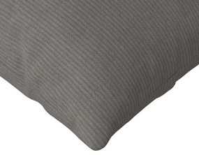 vidaXL Μαξιλάρι Καναπέ 2 pcs Ανοιχτό γκρι 145 x 40 εκ.