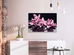 Πίνακας για να τον ζωγραφίζεις - Pink Orchid (Black Background) 60x40