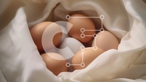 Σετ των 2 Intra Συλλεκτικό Ξύλινο Παζλ Plywood 4mm - Ποικιλία αυγών σε λευκό ύφασμα Σε Ξύλινο Κουτί - Διαστάσεις: 10x10 cm – 25 κομμάτια