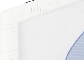 Πίνακας Home ESPRIT Μεσογείακός 50 x 2,5 x 40 cm (x6)