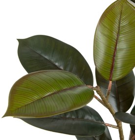 Διακοσμητικό Φυτό PVC Σίδερο Ficus 49 x 45 x 125 cm