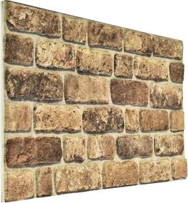 vidaXL Πάνελ τοίχου 10 pcs Σκούρος Άμμος 100 x 50 cm Αφρός EPS