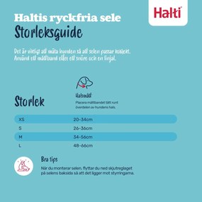 Λουρί Σκύλου Company of Animals Blue 20