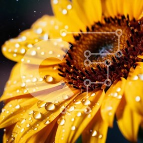 Intra Συλλεκτικό Ξύλινο Παζλ Plywood 4mm - Κοντινό πλάνο ενός ηλίανθου με σταγονίδια νερού Σε Ξύλινο Κουτί - Διαστάσεις: 10x10 cm – 25 κομμάτια