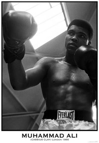 Αφίσα Muhammad Ali, (59.4 x 84.1 cm)