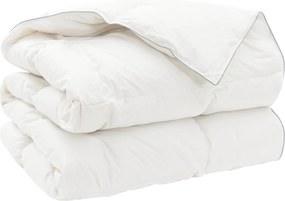 vidaXL Πάπλωμα FULDA 220 x 260 cm Χειμώνας 300 GSM 90% Χήνας Λευκό