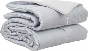 vidaXL Κουβέρτα ολόκληρου του χρόνου Ασημί 220 x 240 cm