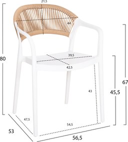 ΠΟΛΥΘΡΟΝΑ ΠΟΛΥΠΡΟΠΥΛΕΝΙΟΥ EVA HM6155.01 ΛΕΥΚΗ ΜΕ ΜΠΕΖ ΣΧΟΙΝΙ 56,5x53x80Υεκ.