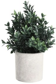 Τεχνητό Φυτό Σε Κασπώ 428028 Φ18x23cm Green Eglo Πλαστικό