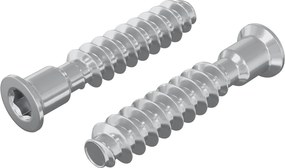 vidaXL Κεφαλή βίδας 2 pcs Ασημί M7 x 40 χλστ Ατσάλι