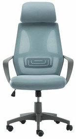 Καρέκλα γραφείου Mesa 310, Γκρι, Ανοιχτό μπλε, 113x62x62cm, 12 kg, Με ρόδες, Με μπράτσα, Μηχανισμός καρέκλας: Κλίση | Epipla1.gr