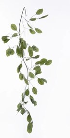 Supergreens Τεχνητό Κλαδί Ευκάλυπτος Grovevale Πράσινο 200 εκ