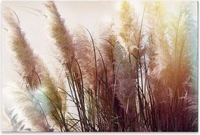 Πίνακας σε καμβά "Soft Pampas" Megapap ψηφιακής εκτύπωσης 90x60x3εκ.