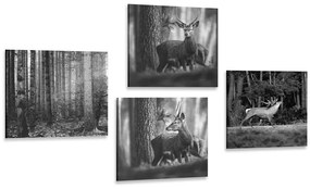 Σετ εικόνων με ζώα του δάσους σε μαύρο & άσπρο - 4x 40x40