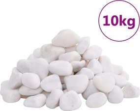 vidaXL Βότσαλα Γυαλισμένα Λευκά 10 κ. 2-5 εκ.