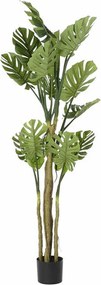Δέντρο DKD Home Decor πολυεστέρας πολυπροπυλένιο Monstera 75 x 75 x 180 cm
