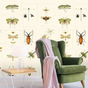 Ταπετσαρία Entomology WP20233 Brown-Taupe MindTheGap 52x300cm