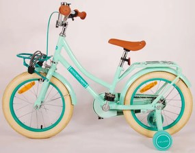 Excellent 16 Inch 25 cm Girls Coaster Brake Mint Green