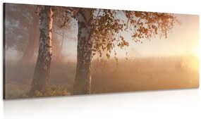 Εικόνα ομιχλώδες φθινοπωρινό δάσος - 120x60
