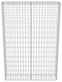 vidaXL Συρματοκιβώτιο Τοίχος 100x20x150 εκ. Γαλβαν.Χάλυβας + Καλύμματα