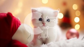 Intra Συλλεκτικό Ξύλινο Παζλ Plywood  4mm - Λευκό γατάκι με μπλε μάτια σε διακοσμημένη κουβέρτα Σε Ξύλινο Κουτί - Διαστάσεις: 10x10 cm – 25 κομμάτια