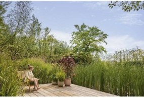 Βάζο Λουλουδιών Elho