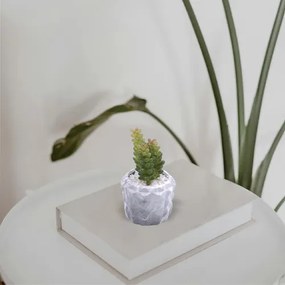 Τεχνητό Φυτό σε Μοντέρνο Κεραμικό Γλαστράκι 7x13cm