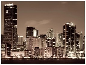 Φωτοταπετσαρία - Night life in Miami 400x309