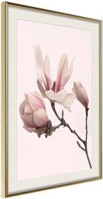 Αφίσα - Blooming Magnolias II - 30x45 - Χρυσό - Με πασπαρτού