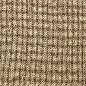 Κουρτίνα (140x260) Με Τρουκς A-S Wild Linen 181086D