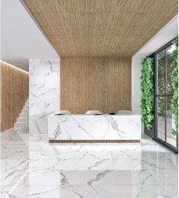 Ribbon Natural 60x120 - Πλακάκι τύπου ξύλο