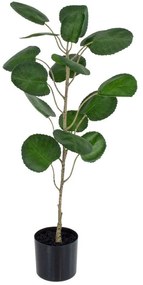 Τεχνητό Φυτό Polyscias Balfouriana 20373 70cm Green Globostar Πολυαιθυλένιο,Ύφασμα