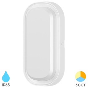 Φωτιστικό Επίτοιχο Braytron BC18-00380 Λευκό (White) CCT3