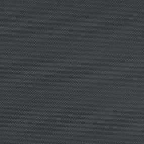 Σκίαστρο Πλαϊνό Συρόμενο Μαύρο 220 x 500 εκ. - Μαύρο