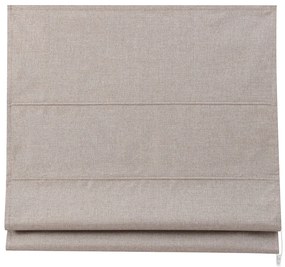 Ρόμαν Συσκότισης (150x160) Grace Shiny Beige 681561