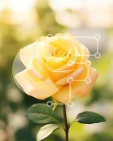 Intra Συλλεκτικό Ξύλινο Παζλ Plywood  4mm - Μονό κίτρινο τριαντάφυλλο σε πλήρη άνθιση Σε Ξύλινο Κουτί - Διαστάσεις: 10x10 cm – 25 κομμάτια