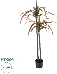 20370 GloboStar® Artificial Garden DRAGON BLOOD TREE 20370 - Τεχνητό Διακοσμητικό Φυτό Δράκαινα Υ150cm