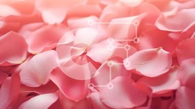 Intra Συλλεκτικό Ξύλινο Παζλ Plywood 4mm - Μεγάλο σωρό από ροζ πέταλα για μπουκέτα και διακοσμητικά Σε Ξύλινο Κουτί - Διαστάσεις: 10x10 cm – 25 κομμάτια