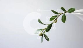 Intra Συλλεκτικό Ξύλινο Παζλ Plywood  4mm - Πράσινο κλαδί ελιάς που κρέμεται από τοίχο ή οροφή Σε Ξύλινο Κουτί - Διαστάσεις: 10x10 cm – 25 κομμάτια