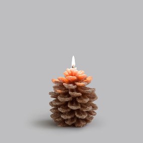 Κερί από κερί, σε σχήμα κουκουνάρι, ύψος 9,5 εκ., Caspar